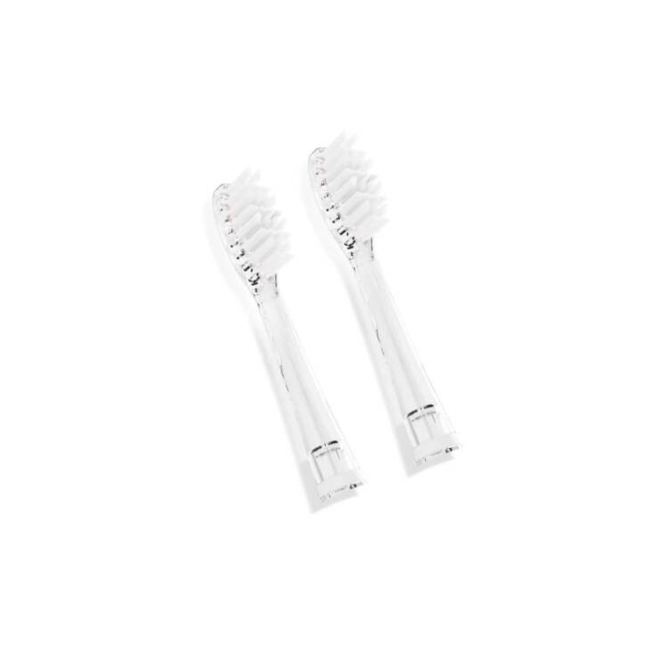 Neno Fratelli Replacement Toothbrush Head
