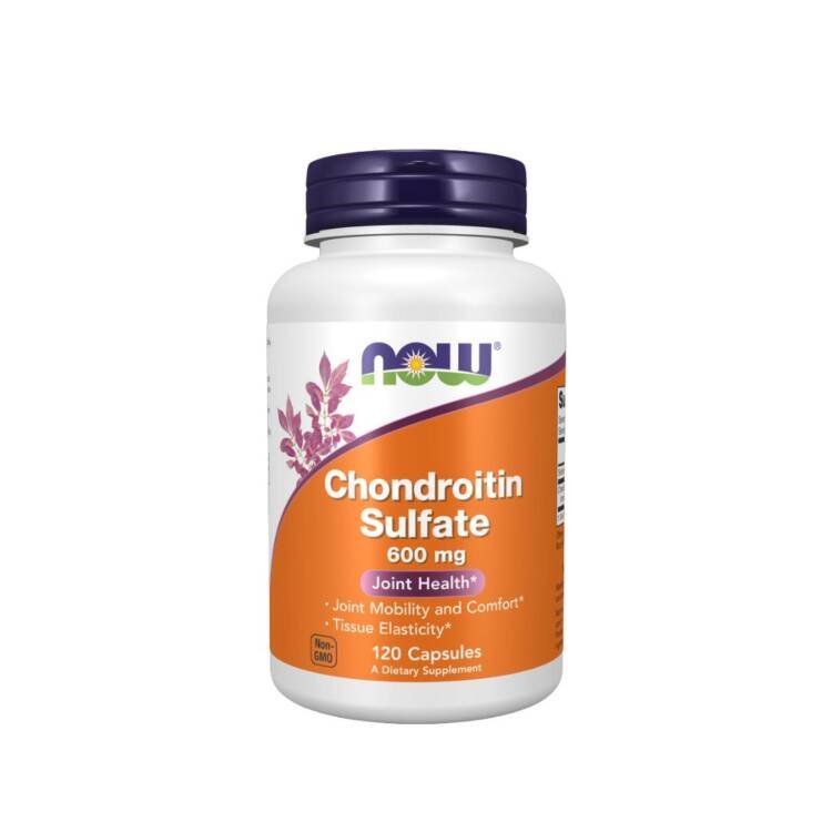 Now Chondroitin Sulfate 600 mg