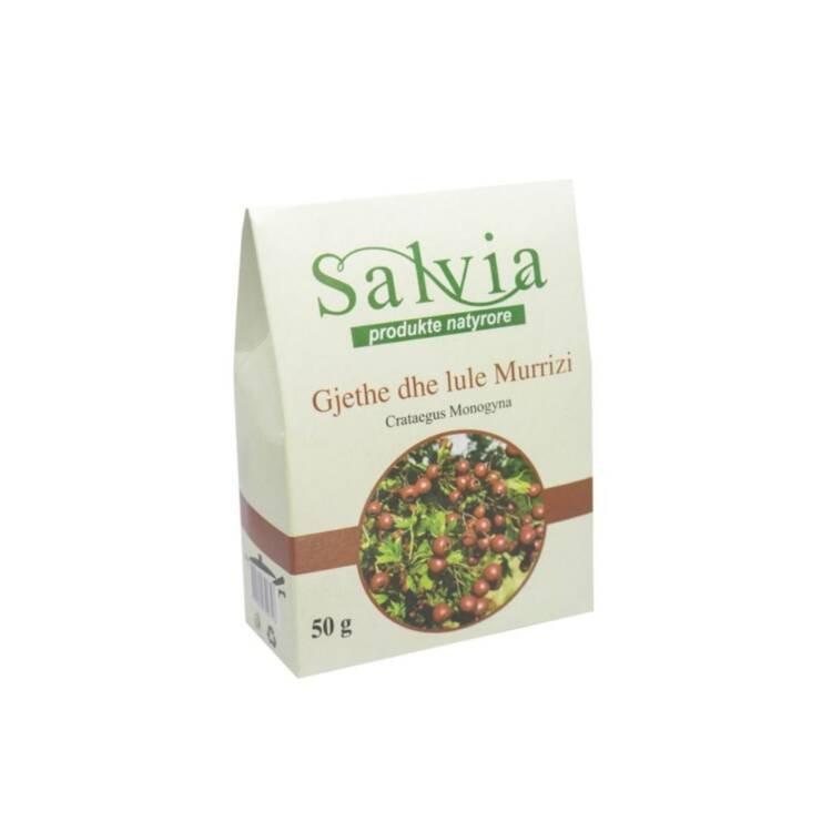 Salvia Gjethe dhe Lule Murrizi