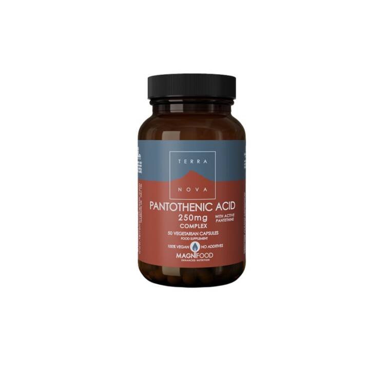 Terranova Pantothenic Acid (with Pantethine) 250mg Complex