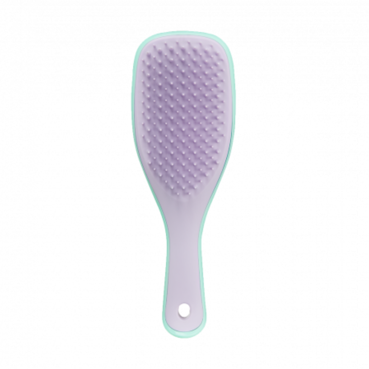 Tangle Teezer The Wet Detangler Mini Size - Image 11