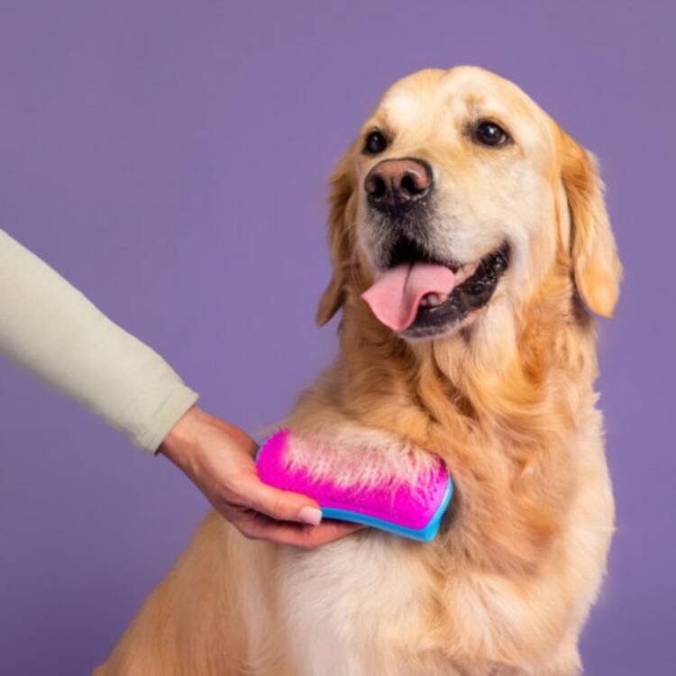Tangle Teezer De-shedding Dog Grooming Brush - Image 2